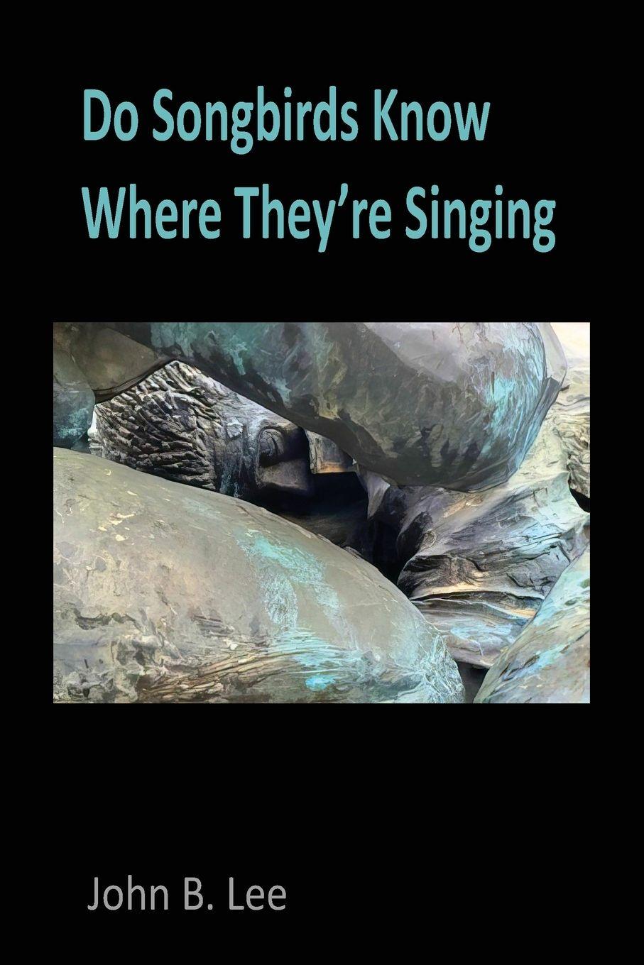 Vorderes Coverbild Do Songbirds Know Where They're Singing
