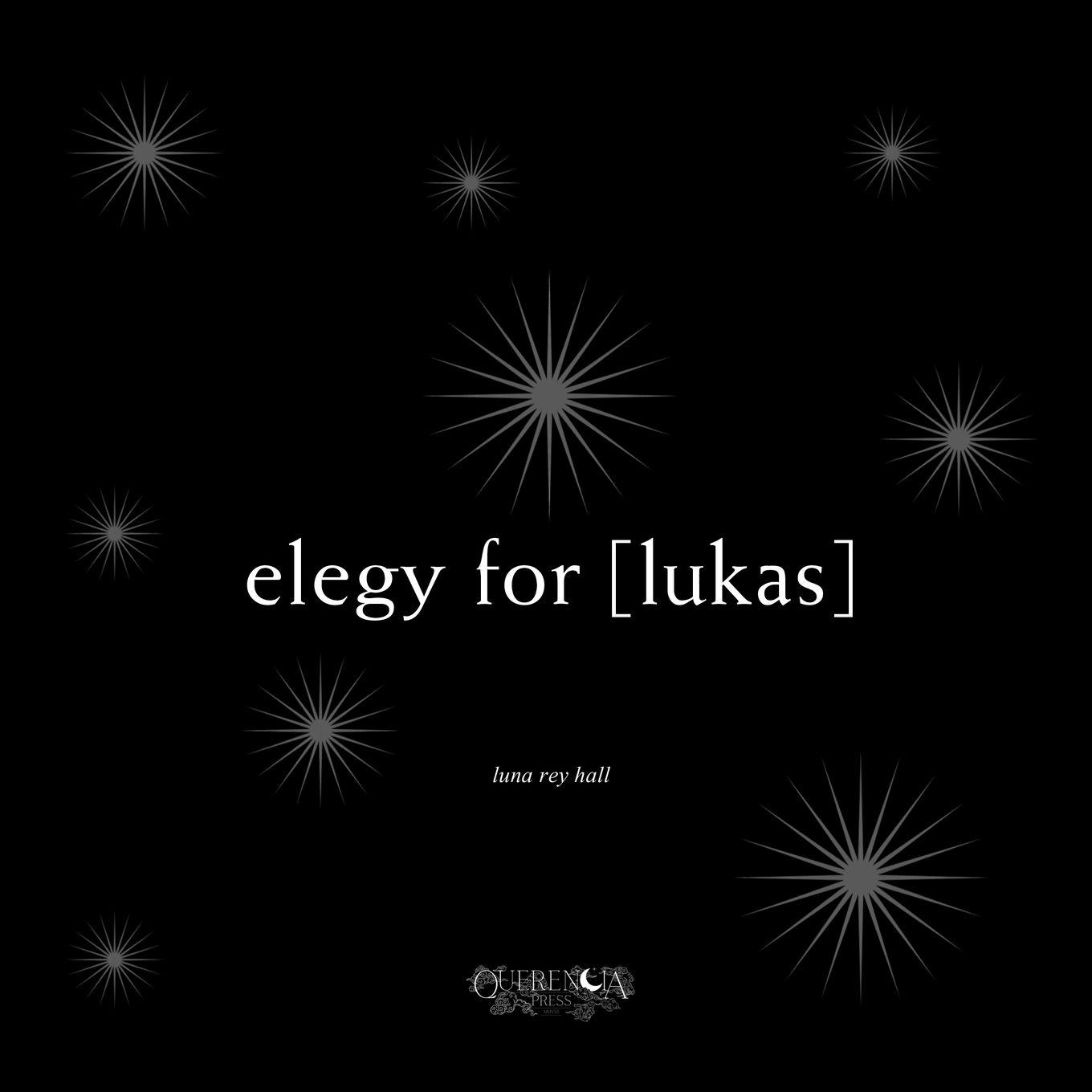 Vorderes Coverbild elegy for [lukas]