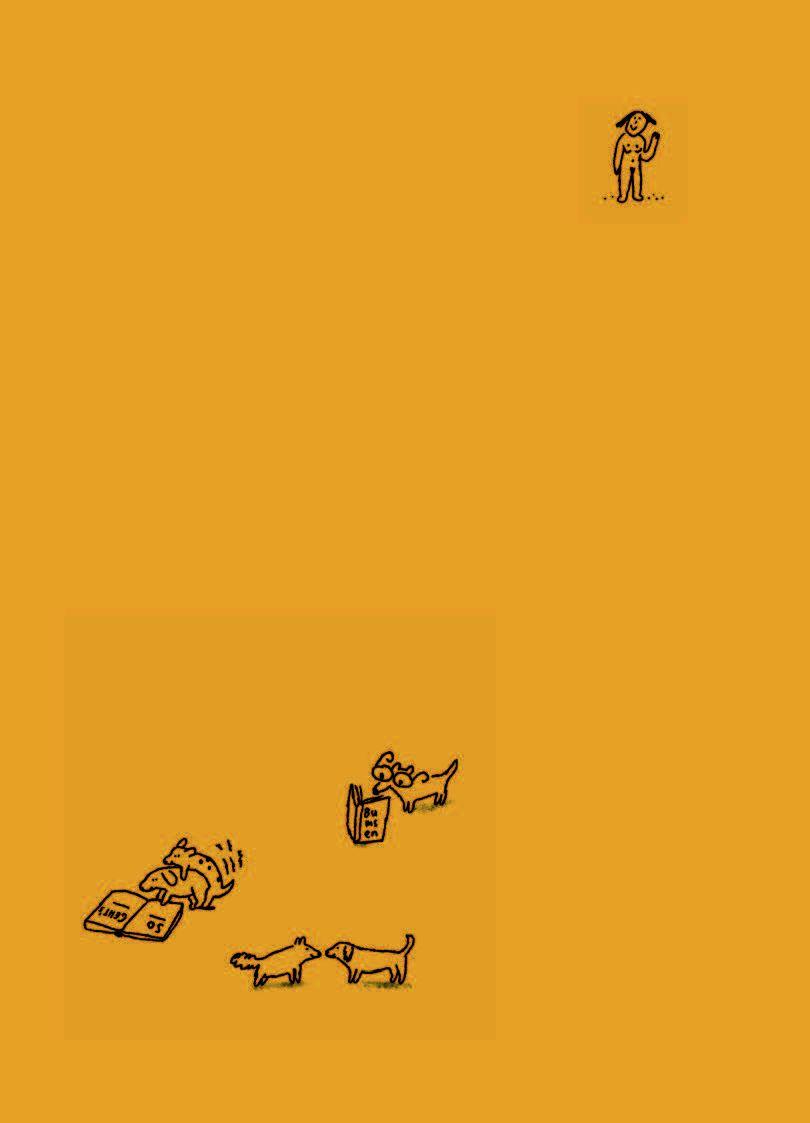 Beispielinhalt (Bild) Rambazamba? Aber sicher!