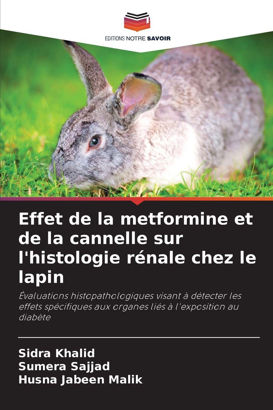 Vorderes Coverbild Effet de la metformine et de la cannelle sur l'histologie rénale chez le lapin