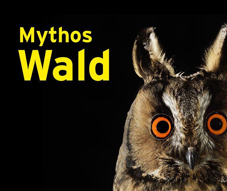 Vorderes Coverbild Mythos Wald