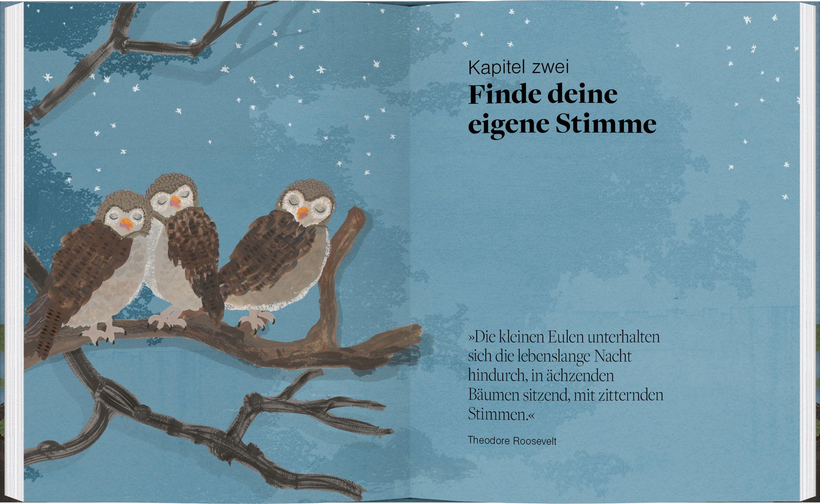 Beispielinhalt (Bild) Be More Owl