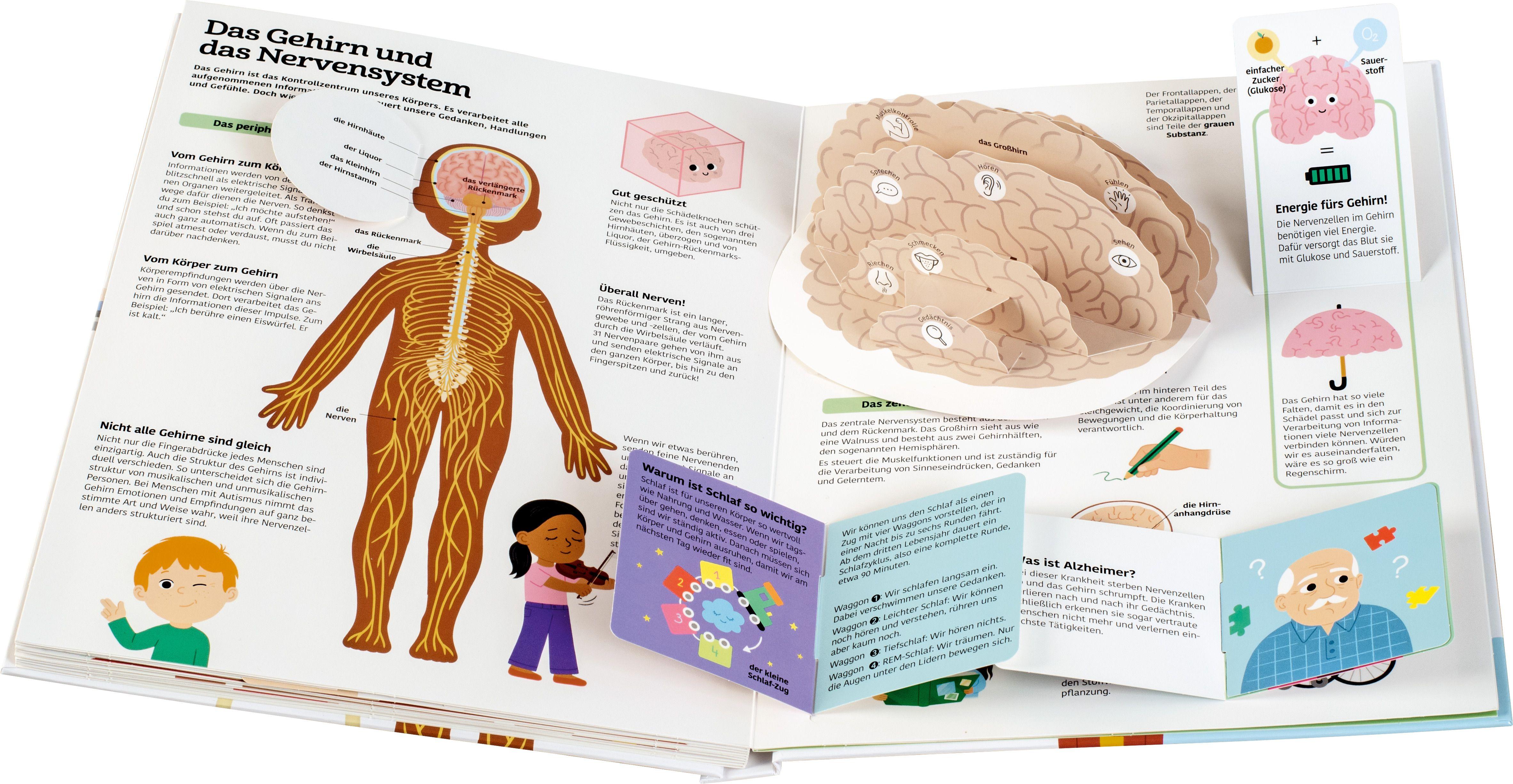 Beispielinhalt (Bild) Mein großes Körperbuch