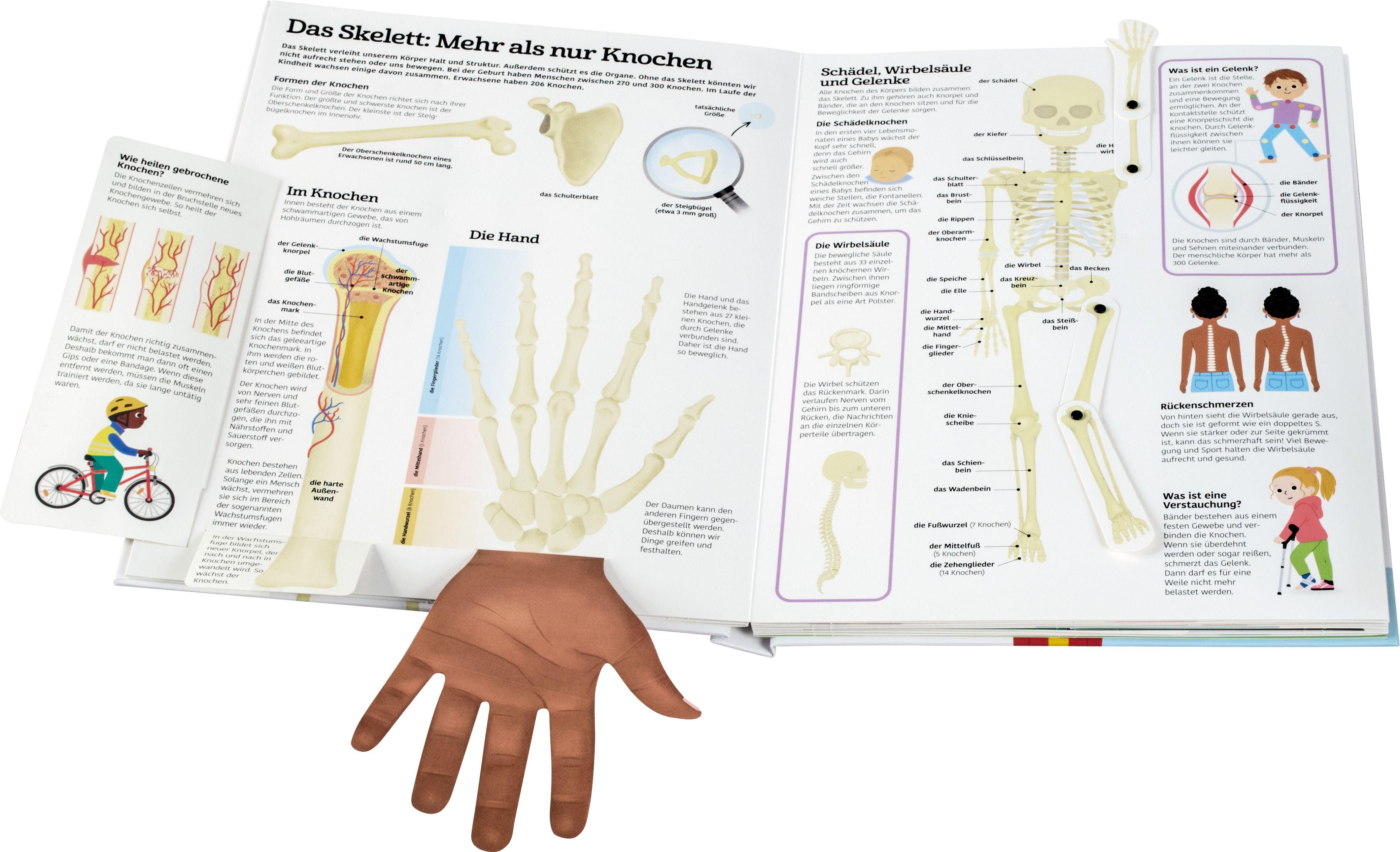 Beispielinhalt (Bild) Mein großes Körperbuch