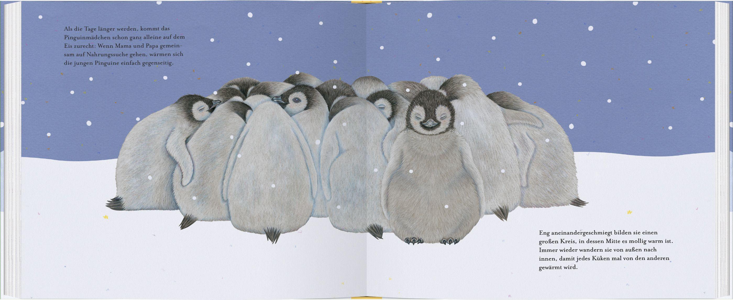 Beispielinhalt (Bild) Kleiner Pinguin, bald bist du groß!