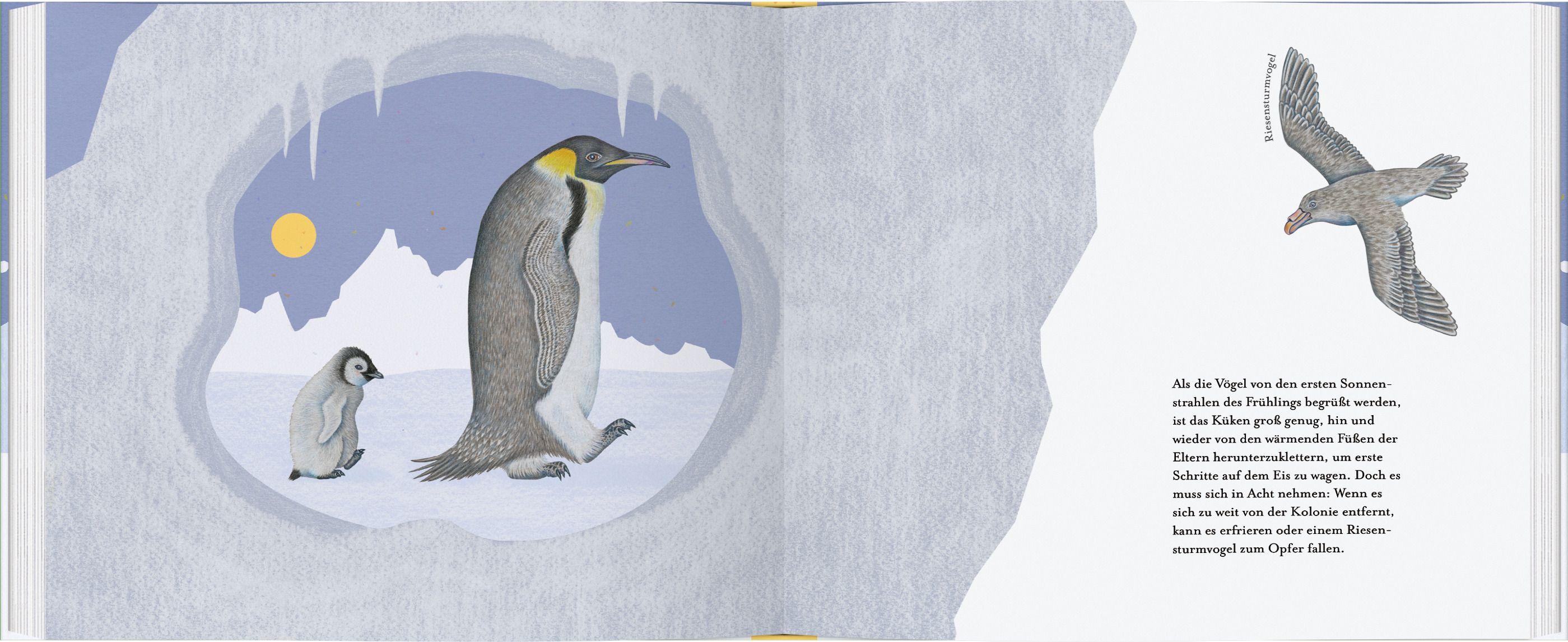 Beispielinhalt (Bild) Kleiner Pinguin, bald bist du groß!