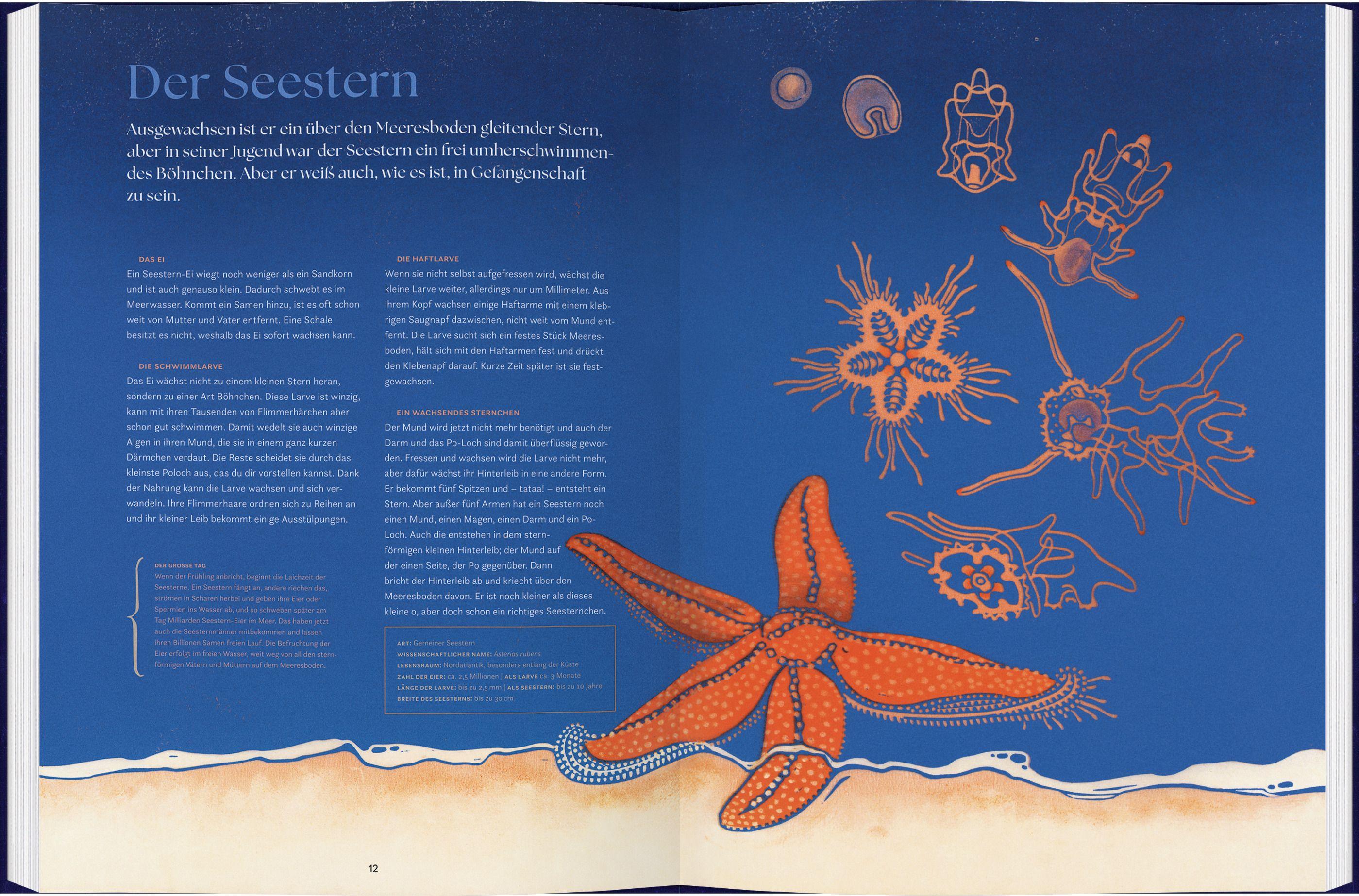 Beispielinhalt (Bild) verwandelt