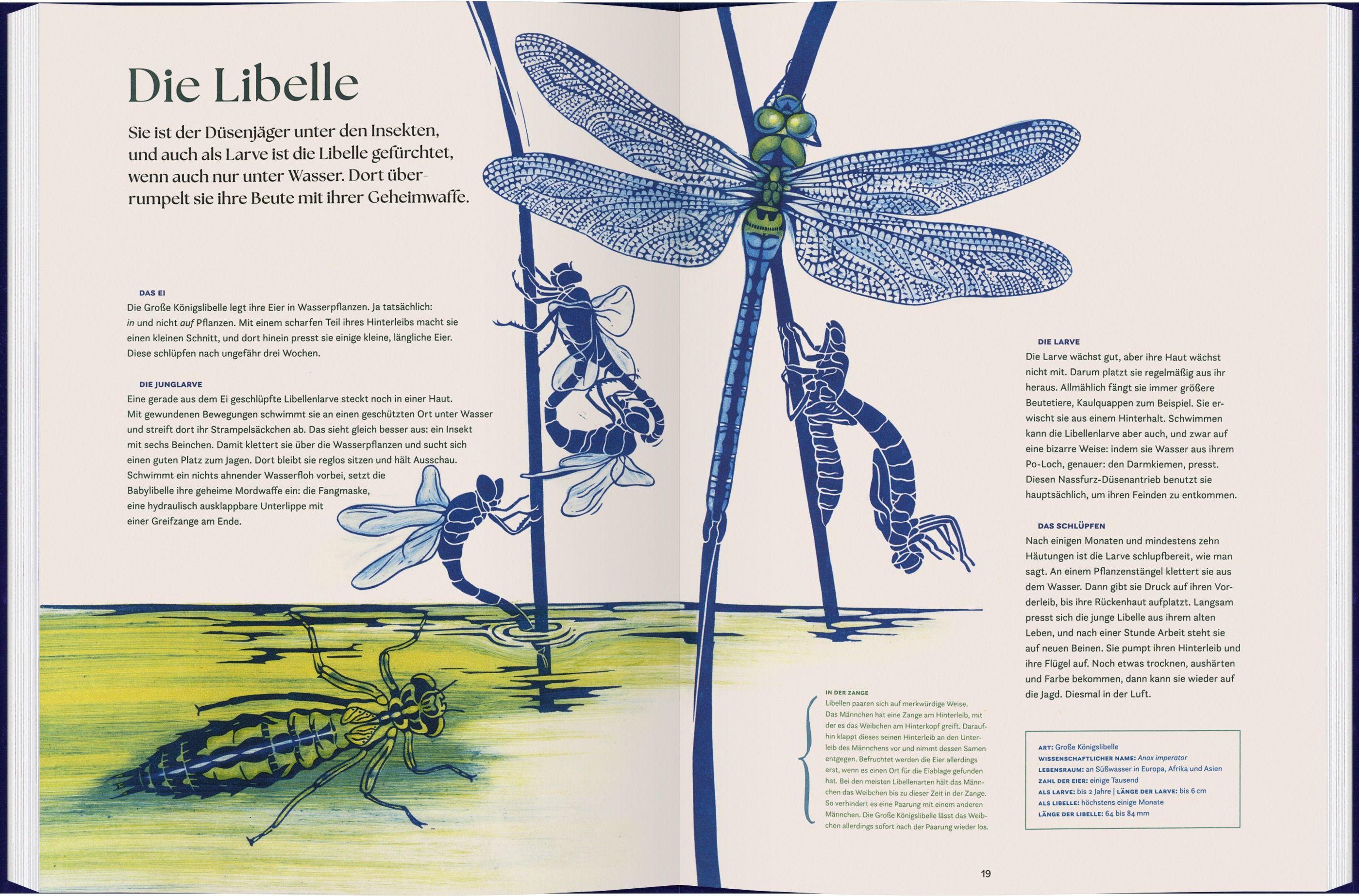 Beispielinhalt (Bild) verwandelt