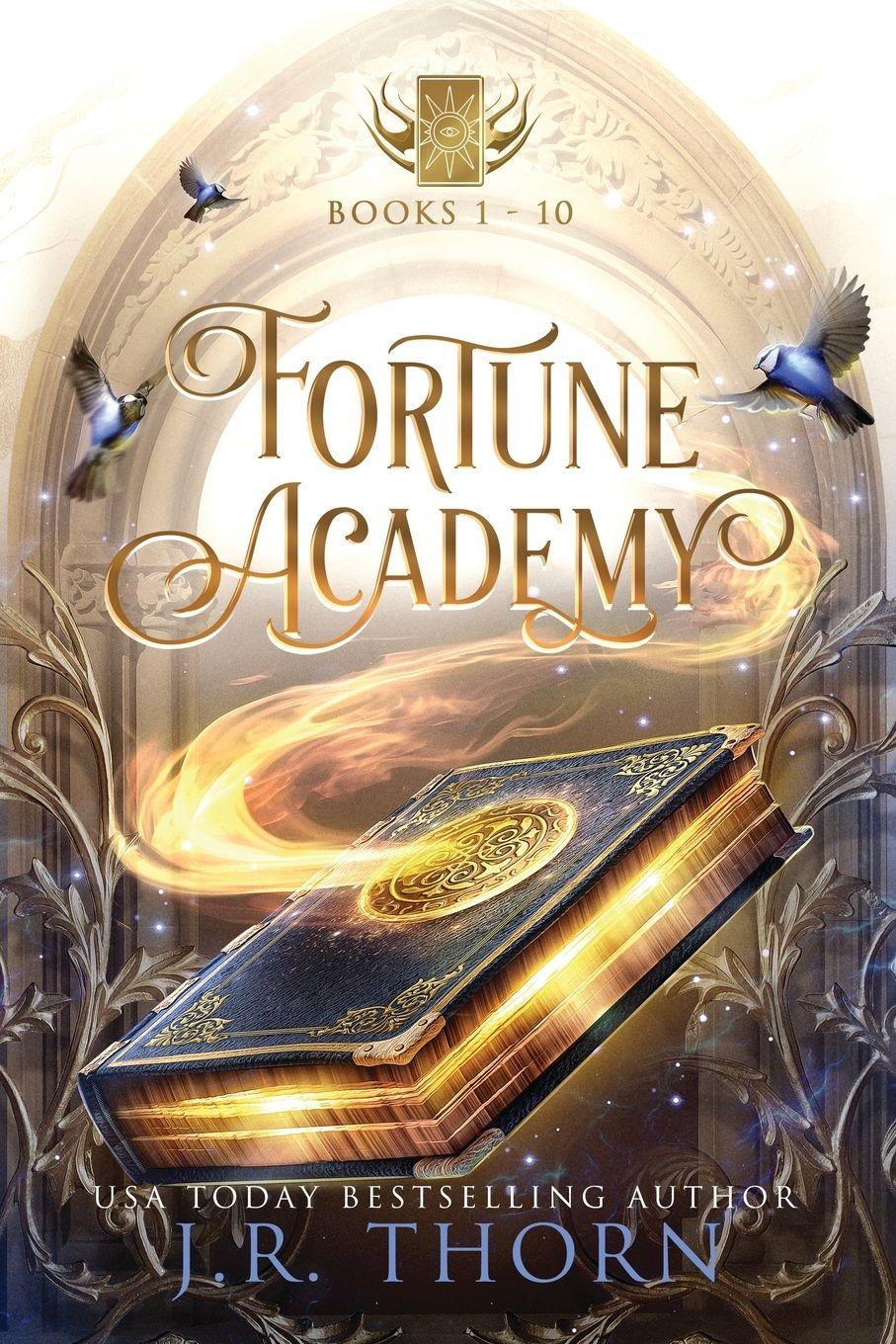 Vorderes Coverbild Fortune Academy