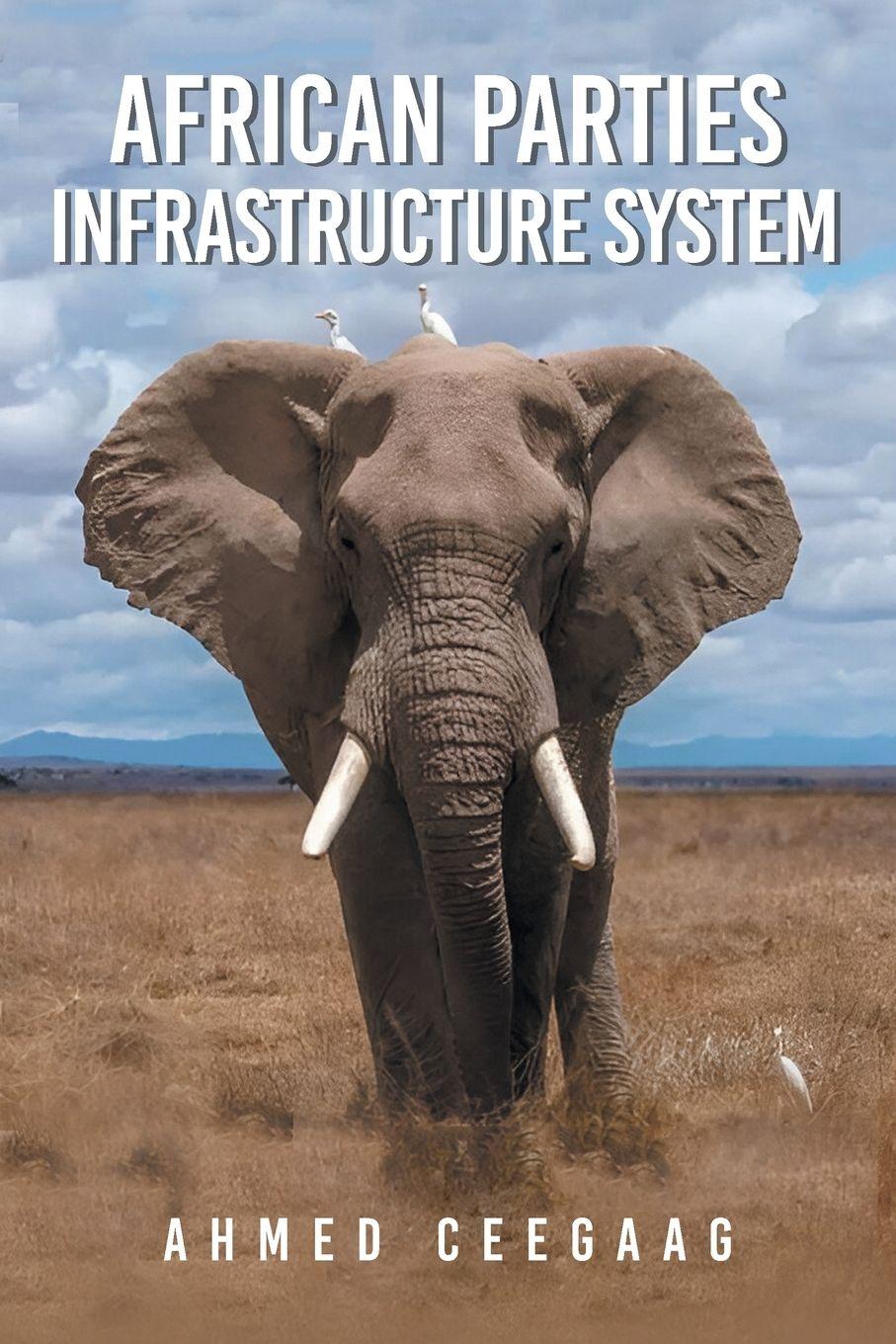 Vorderes Coverbild African Parties Infrastructure System