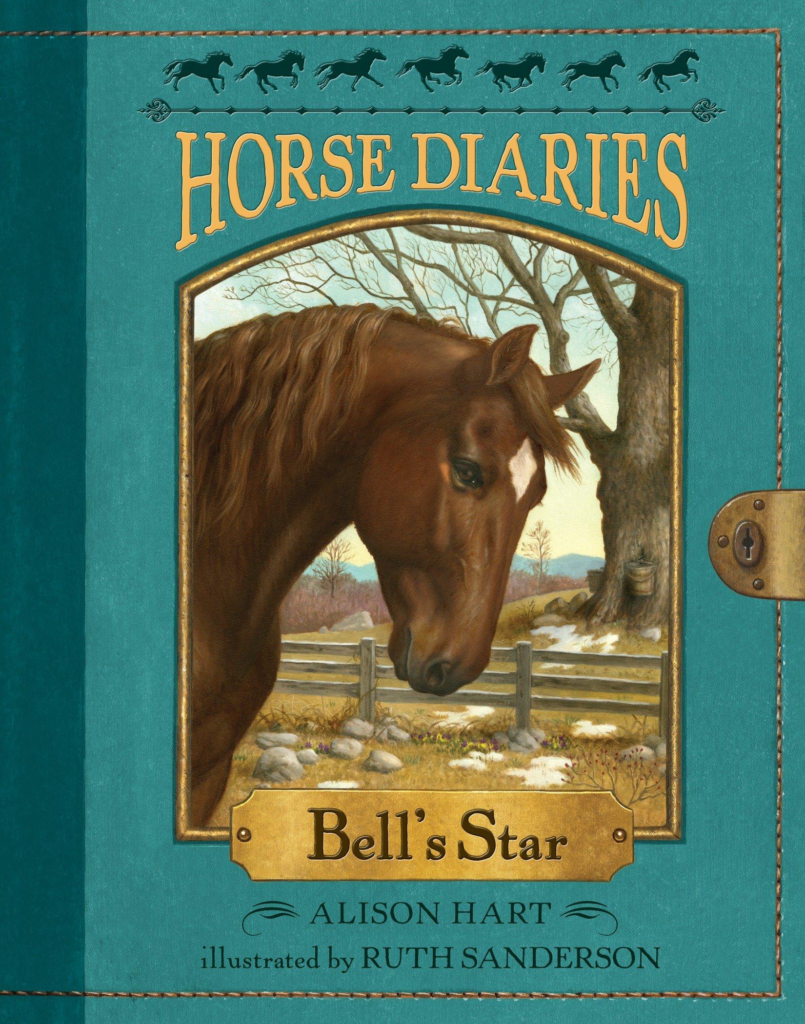 Vorderes Coverbild Horse Diaries #2
