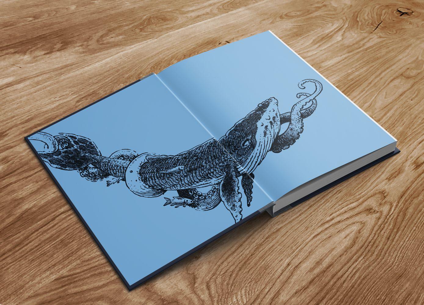 Beispielinhalt (Bild) North Star