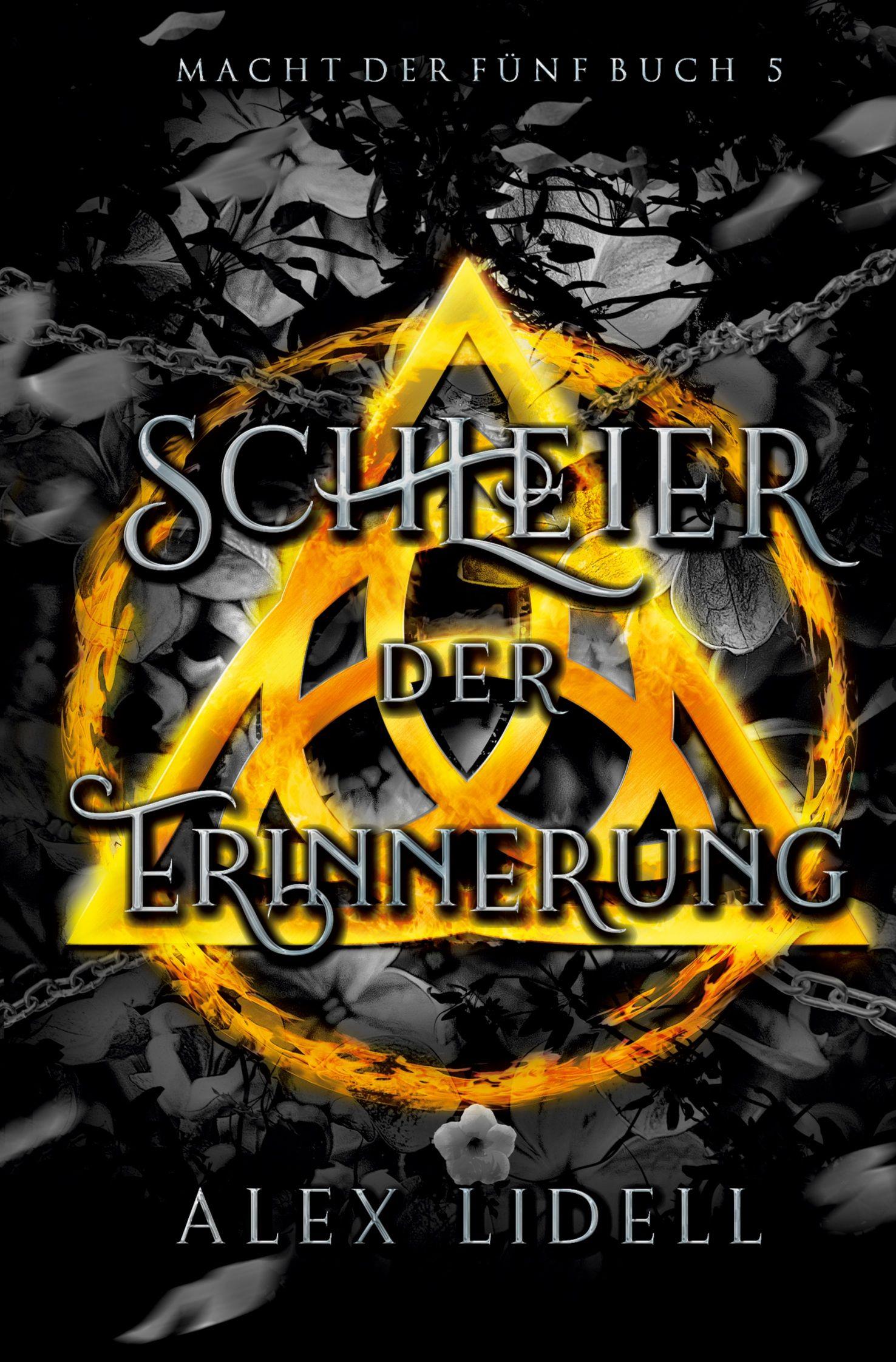 Vorderes Coverbild Schleier der Erinnerung Macht der Fünf Buch 5
