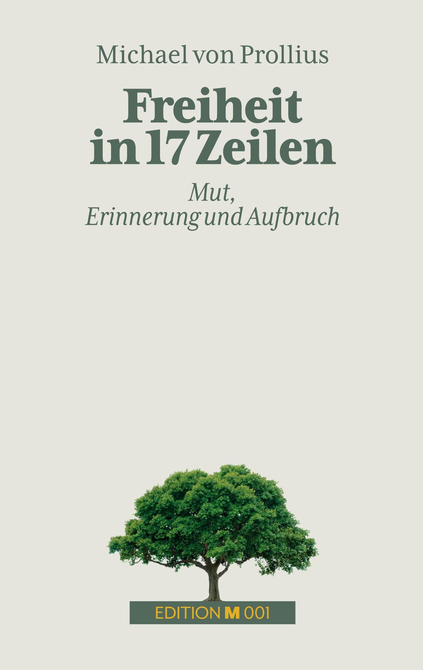 Vorderes Coverbild Freiheit in 17 Zeilen