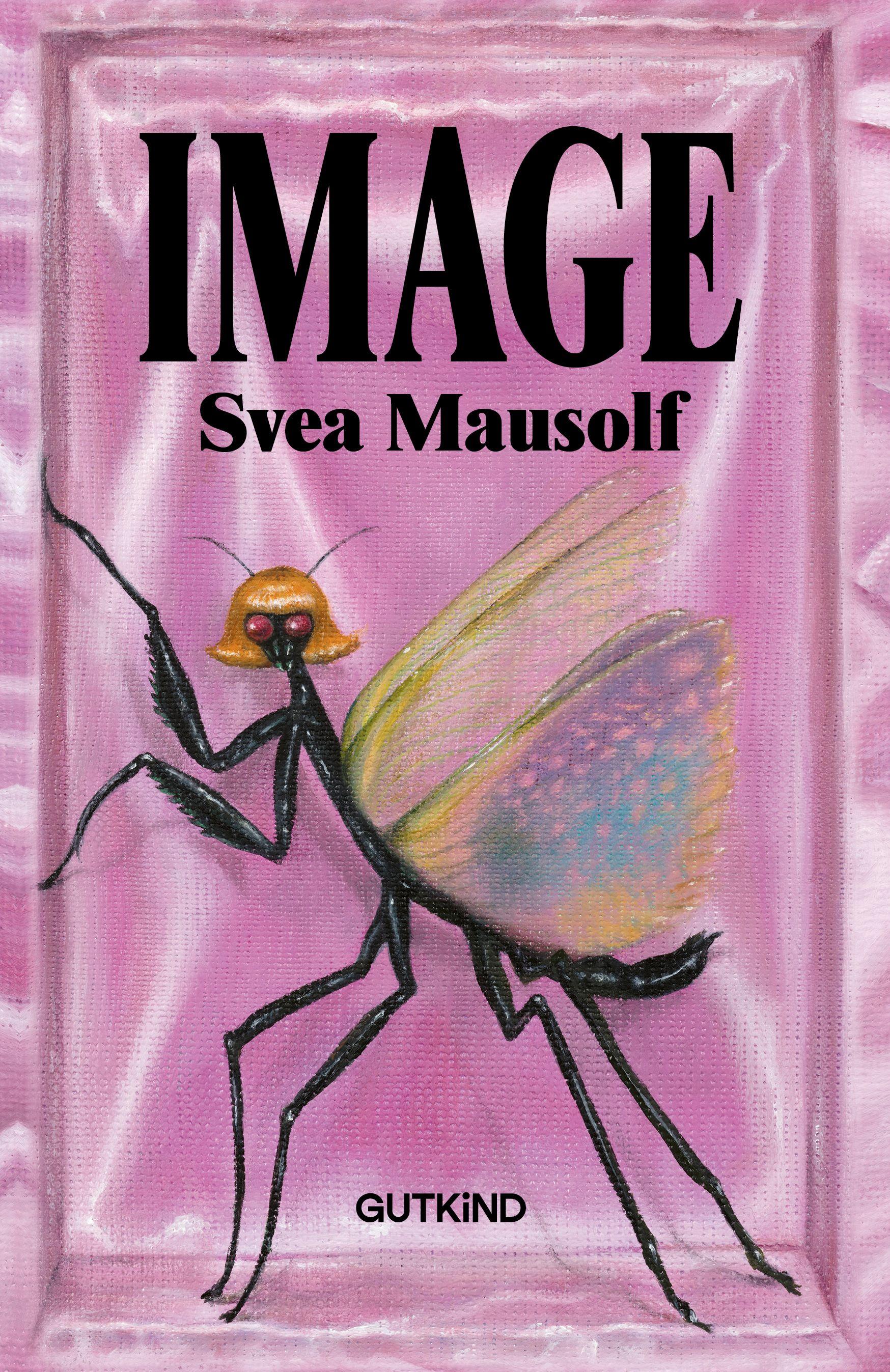 Vorderes Coverbild Image