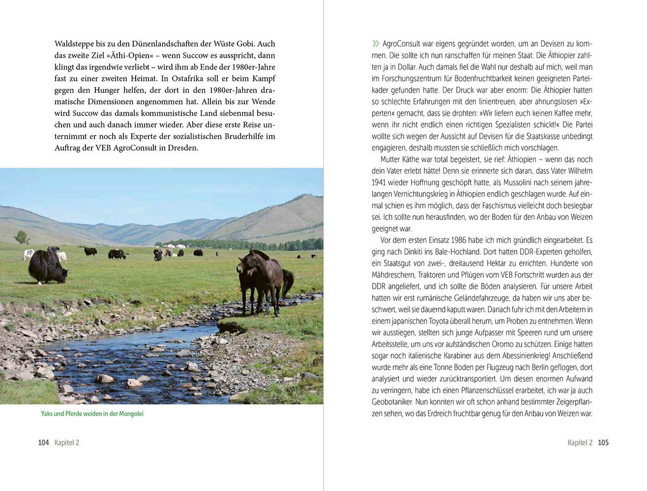 Beispielinhalt (Bild) Das Abenteuer des Lebens