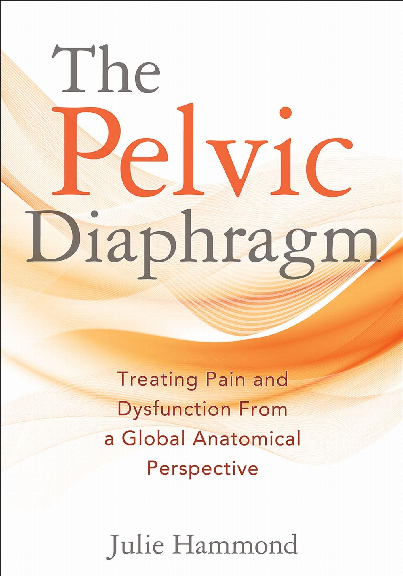 Vorderes Coverbild The Pelvic Diaphragm