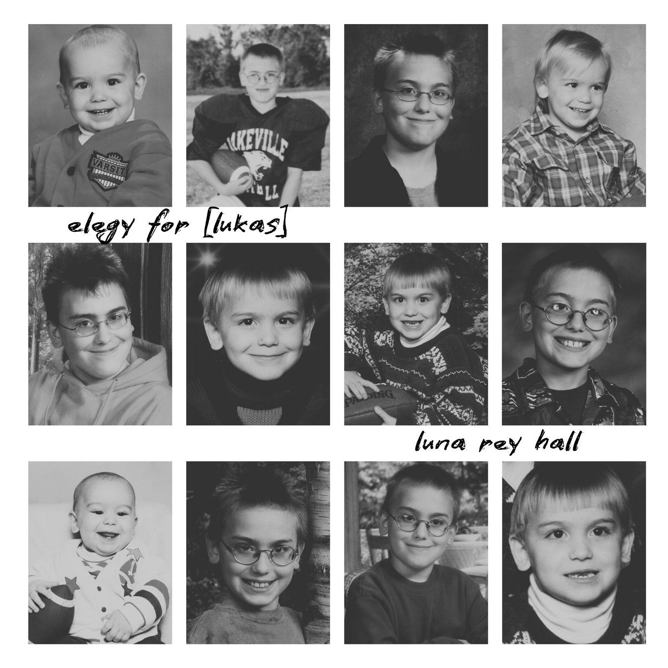 Vorderes Coverbild elegy for [lukas]