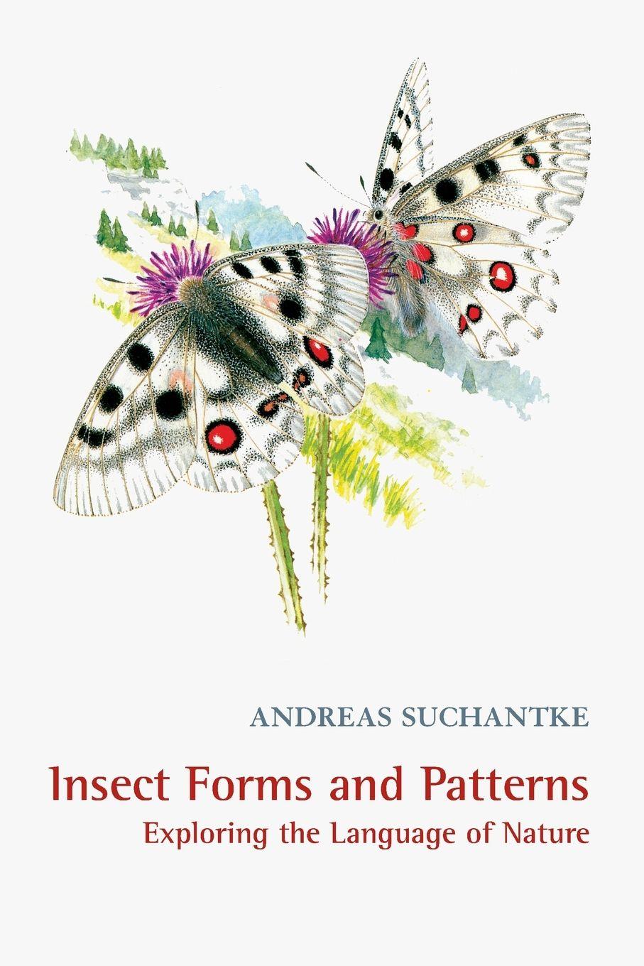 Vorderes Coverbild Insect Forms and Patterns Exploring the Language of Nature