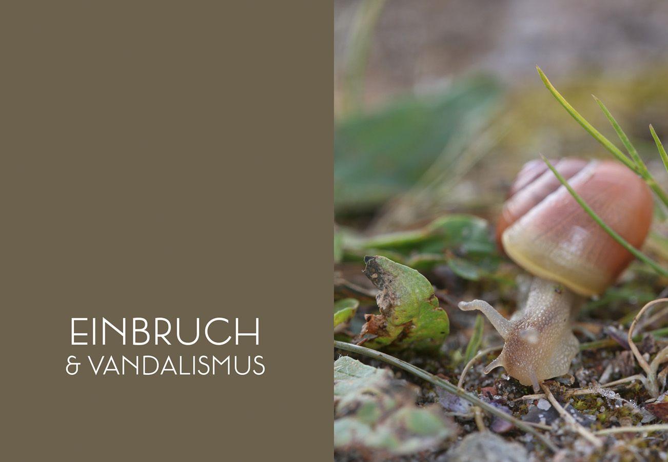 Beispielinhalt (Bild) Mord im Nacktschnecken-Milieu