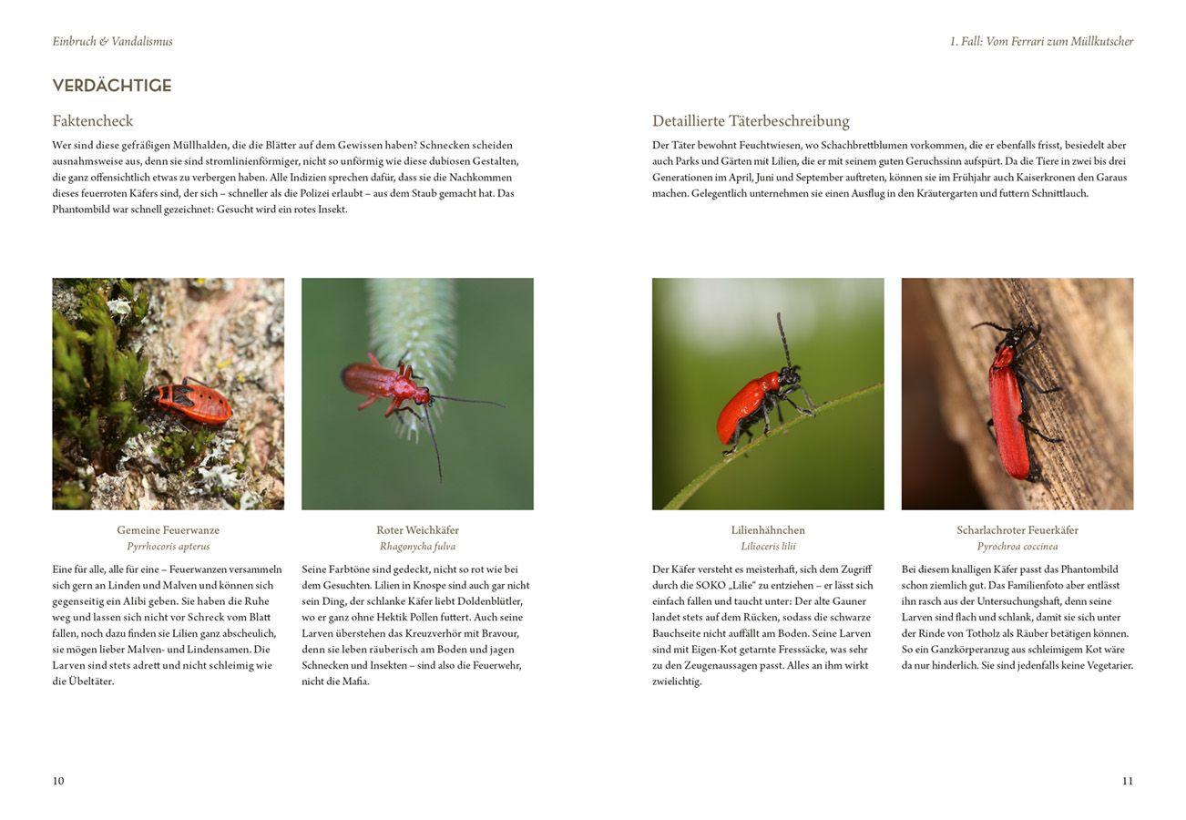 Beispielinhalt (Bild) Mord im Nacktschnecken-Milieu