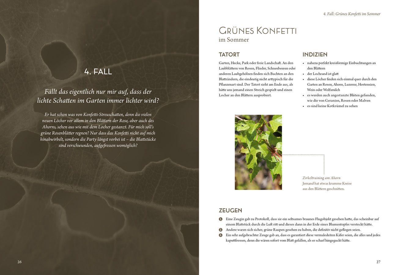 Beispielinhalt (Bild) Mord im Nacktschnecken-Milieu