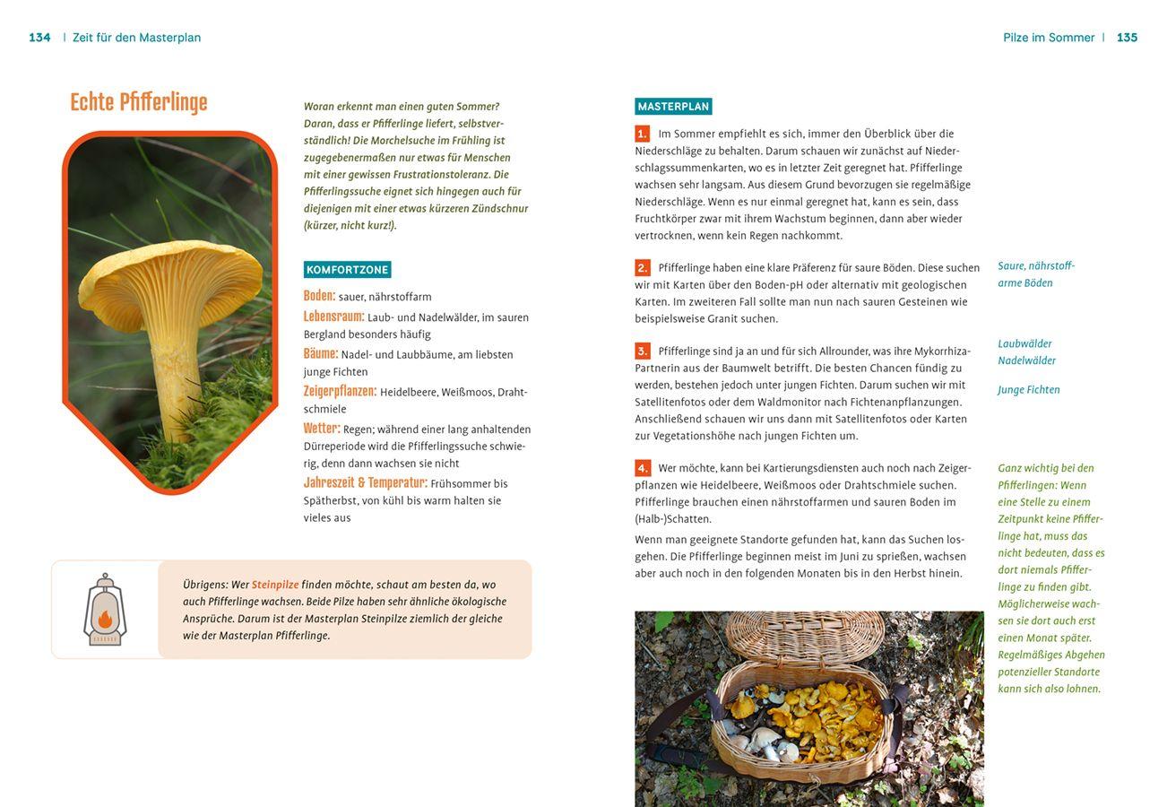 Beispielinhalt (Bild) Pilznavigator Buschfunkistan