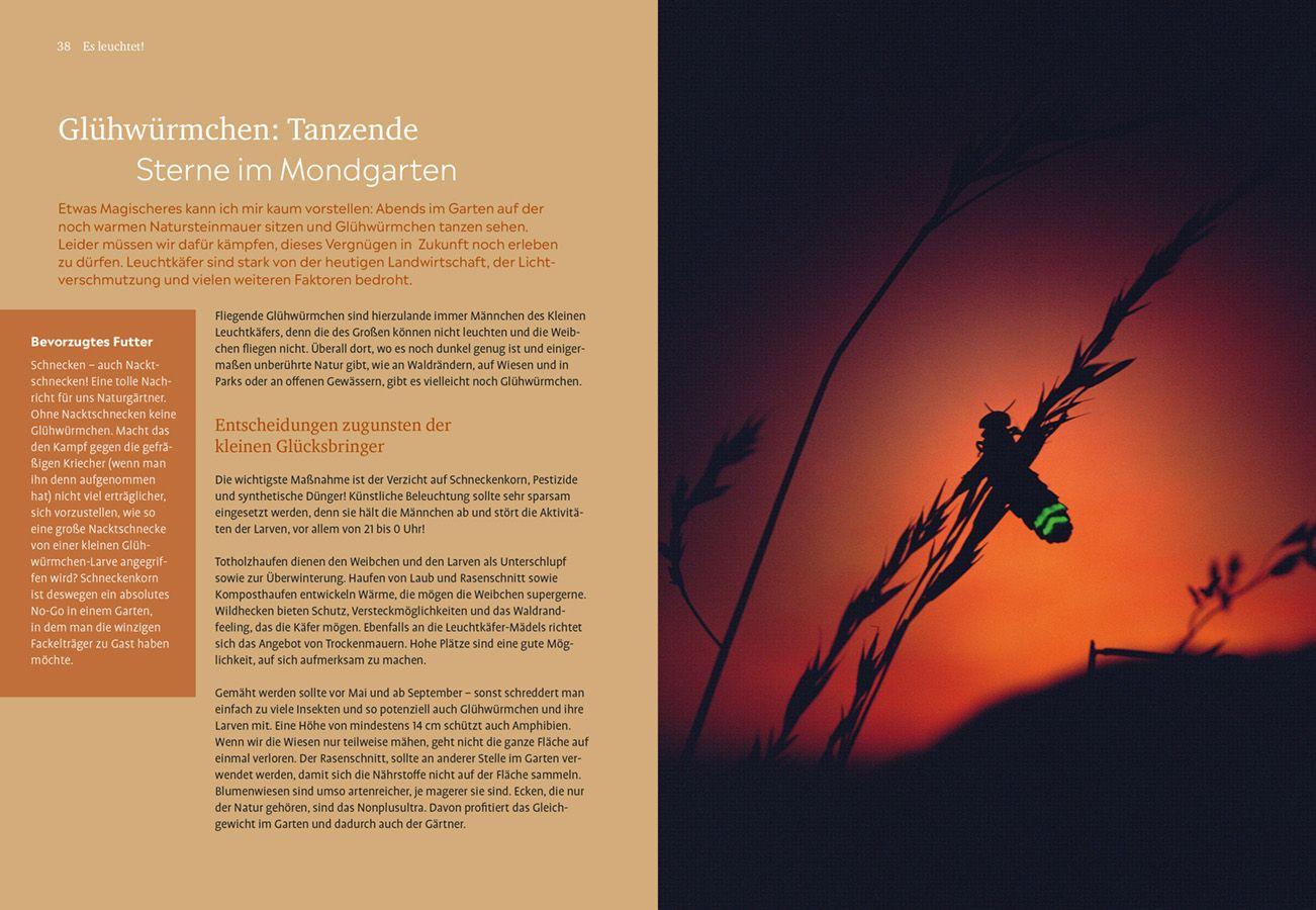 Beispielinhalt (Bild) Der Nachtgarten