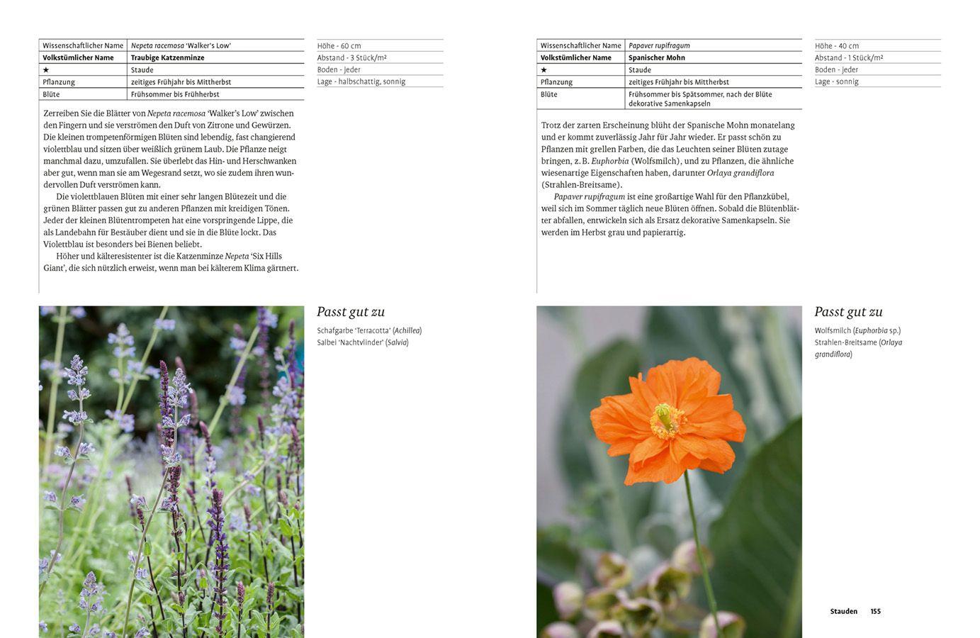 Beispielinhalt (Bild) Grün in allen Farben