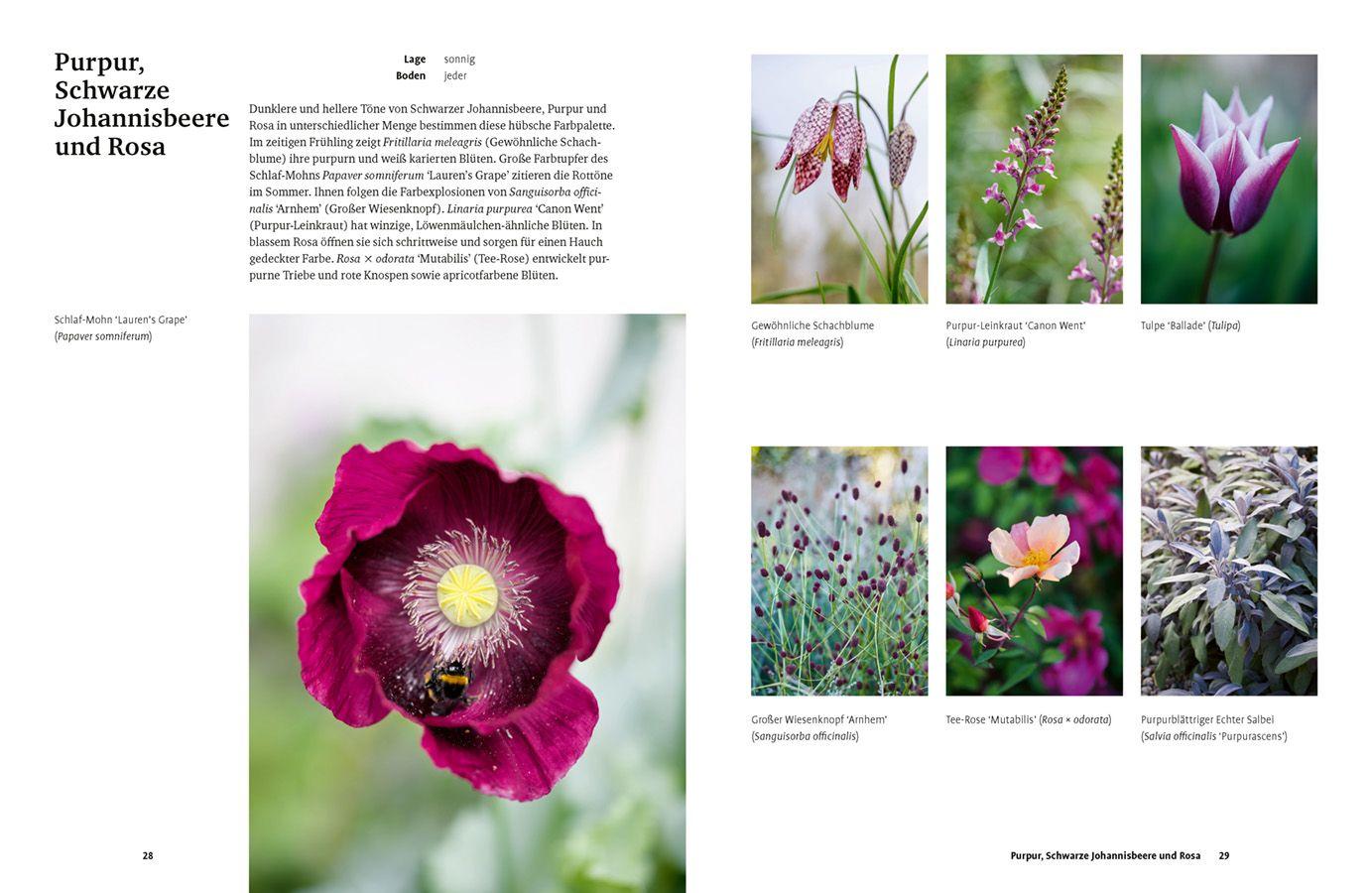 Beispielinhalt (Bild) Grün in allen Farben