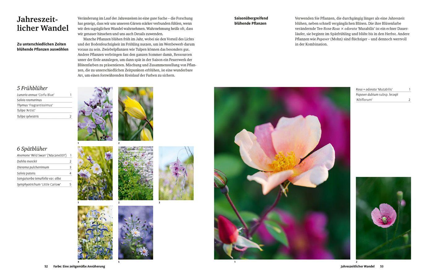 Beispielinhalt (Bild) Grün in allen Farben