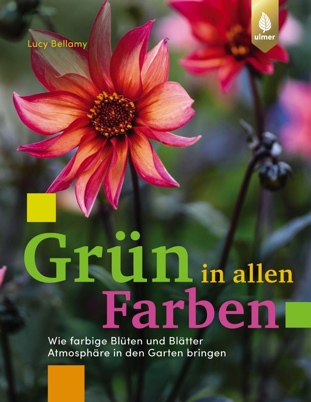 Vorderes Coverbild Grün in allen Farben