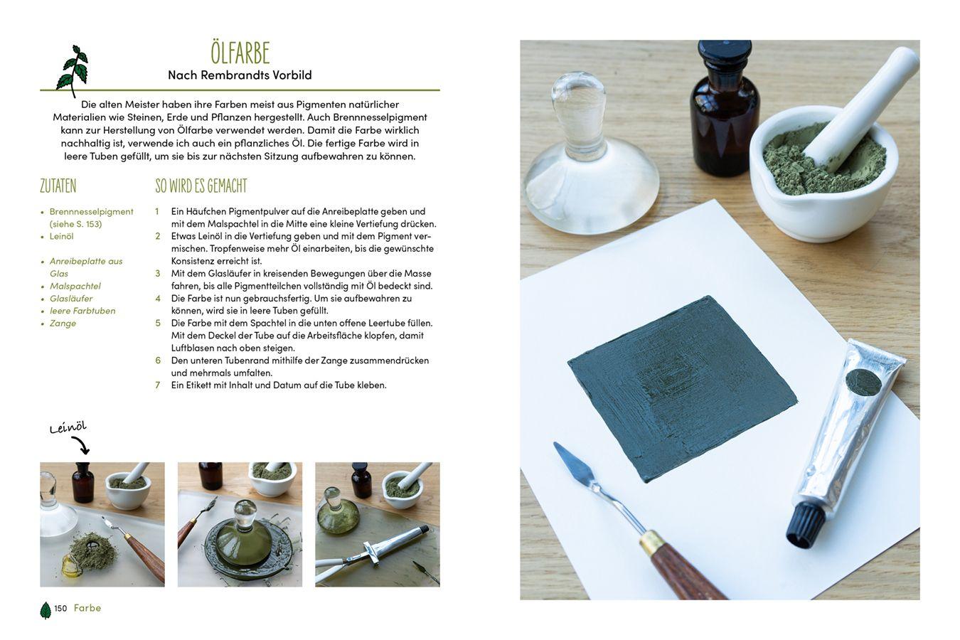 Beispielinhalt (Bild) Brennnessel