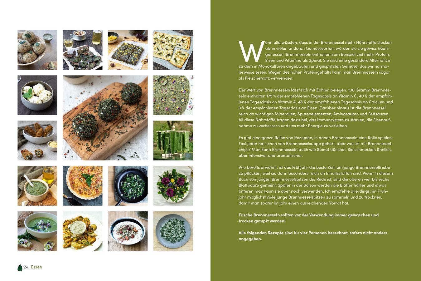 Beispielinhalt (Bild) Brennnessel