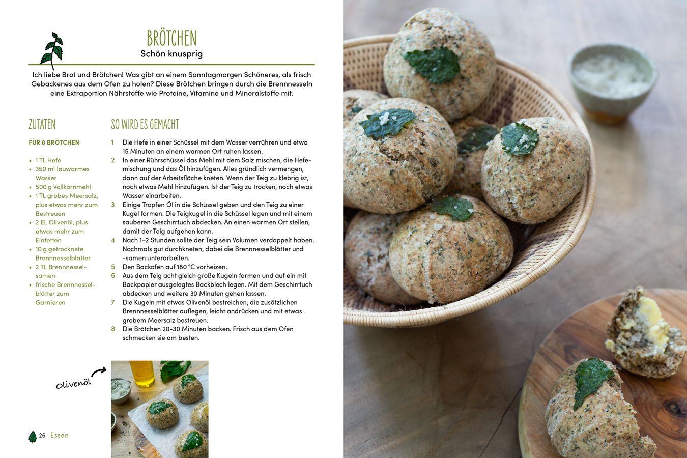 Beispielinhalt (Bild) Brennnessel