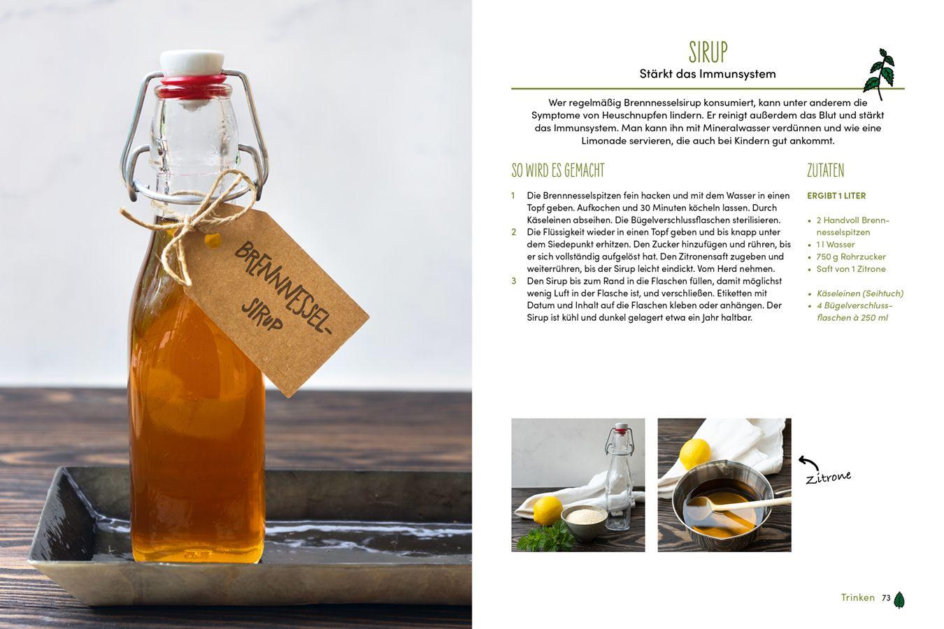 Beispielinhalt (Bild) Brennnessel