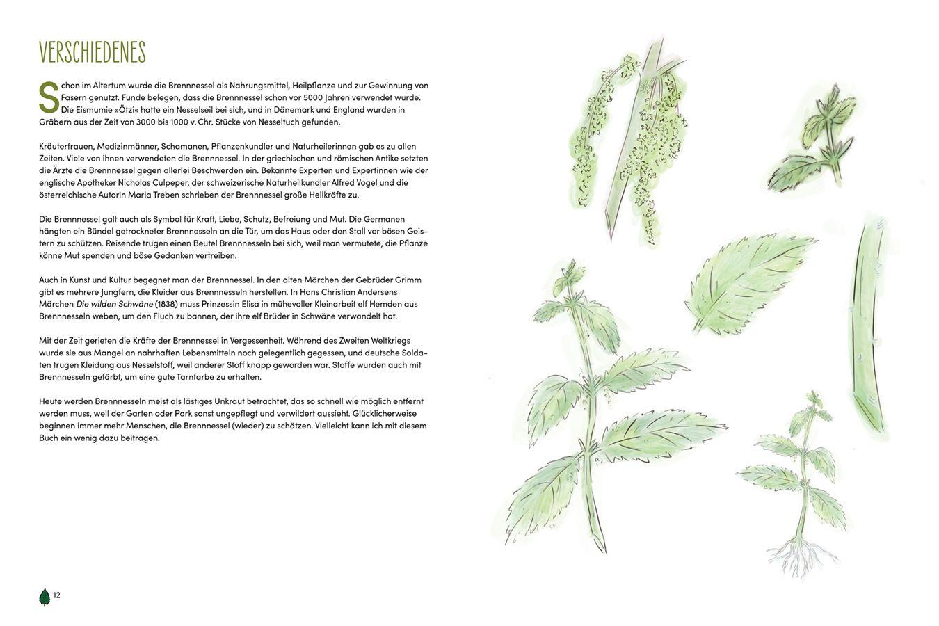 Beispielinhalt (Bild) Brennnessel