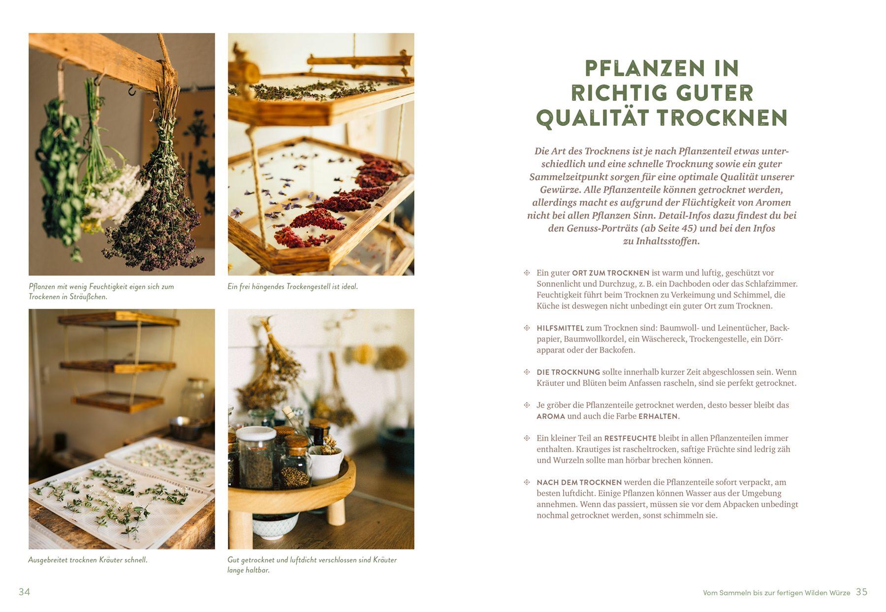 Beispielinhalt (Bild) Wilde Würze