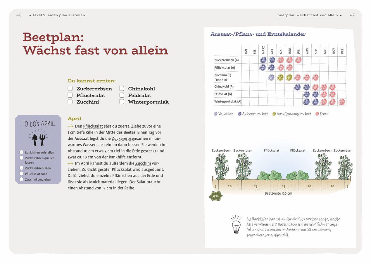 Beispielinhalt (Bild) Dein Projekt. Dein Guide. Gärtnern mit Mischkultur