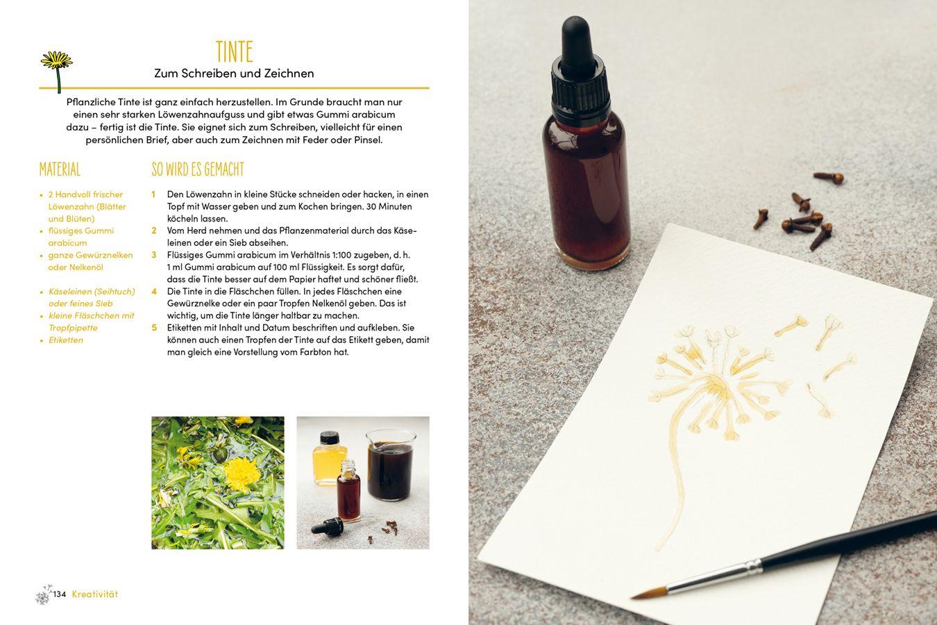 Beispielinhalt (Bild) Löwenzahn