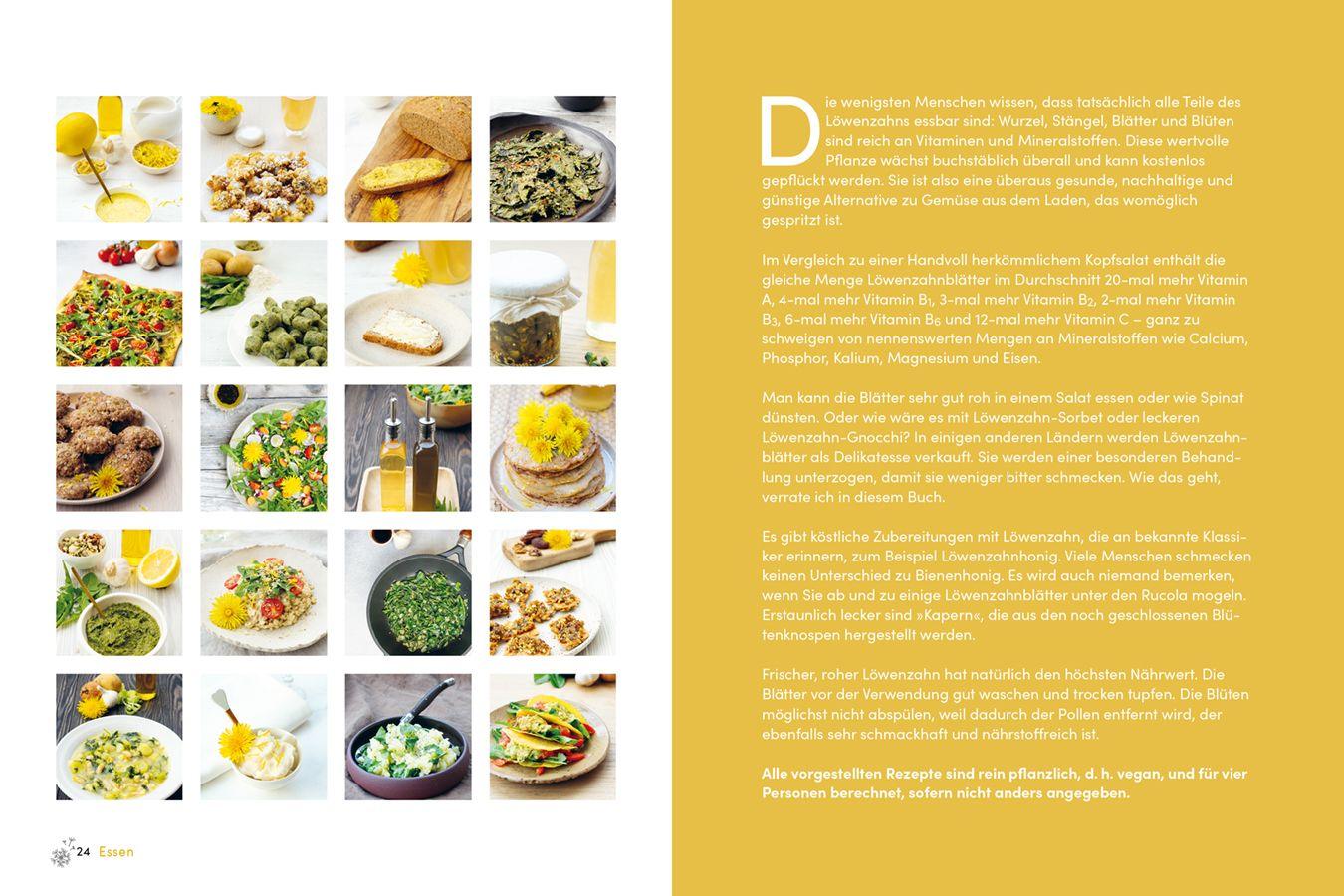 Beispielinhalt (Bild) Löwenzahn