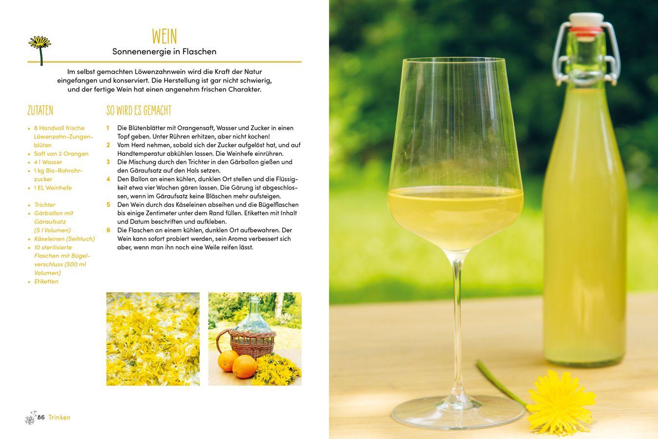 Beispielinhalt (Bild) Löwenzahn