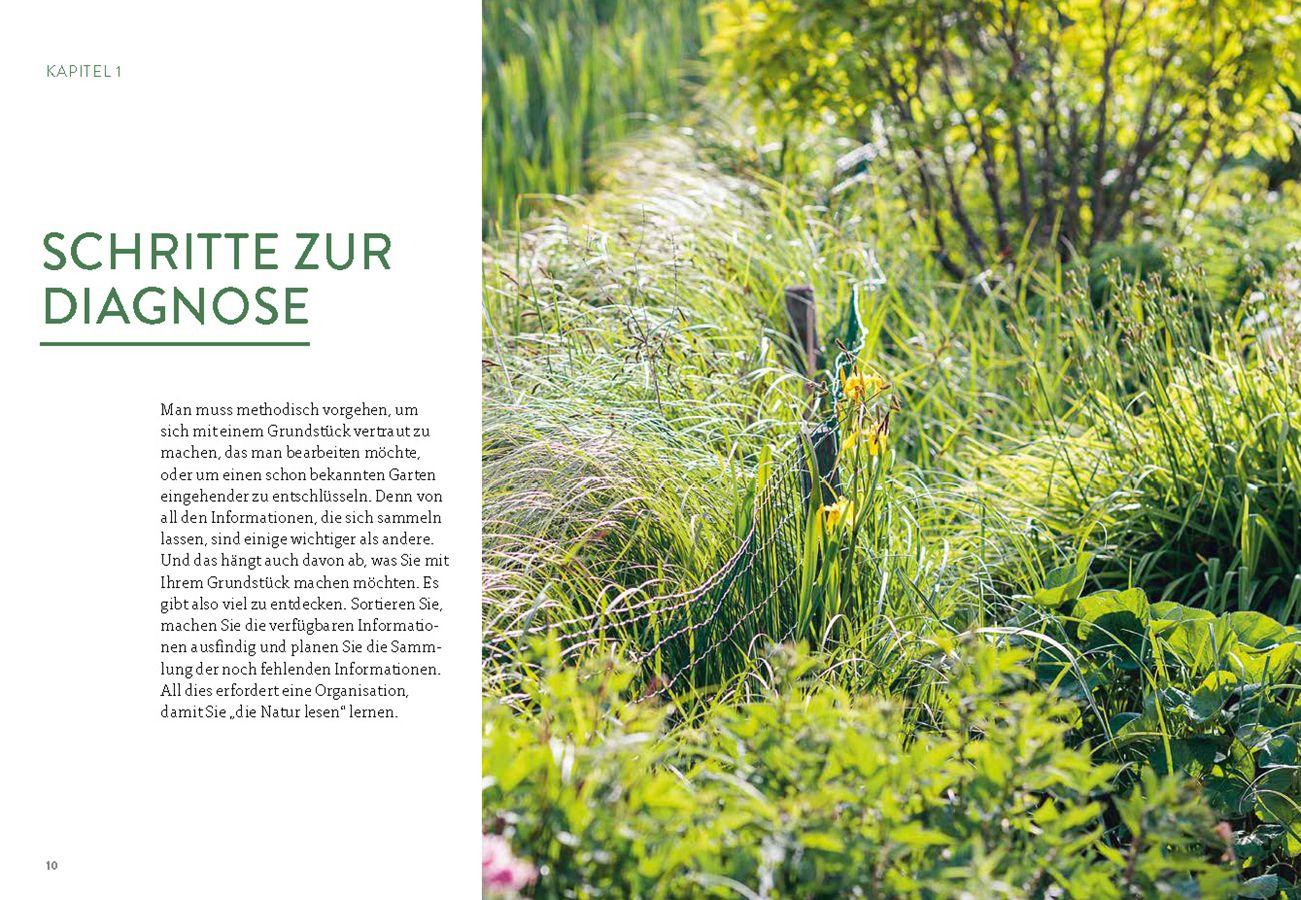 Beispielinhalt (Bild) Pflanzengeflüster