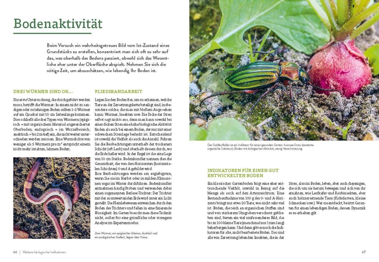 Beispielinhalt (Bild) Pflanzengeflüster