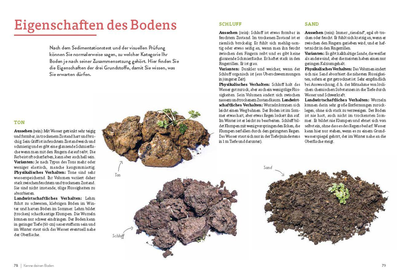 Beispielinhalt (Bild) Pflanzengeflüster