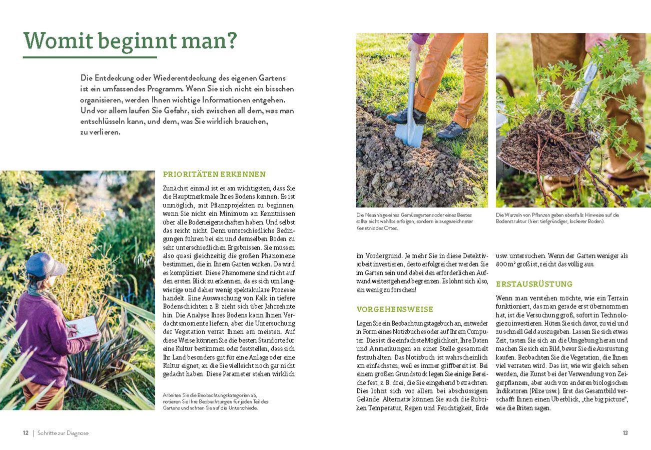 Beispielinhalt (Bild) Pflanzengeflüster