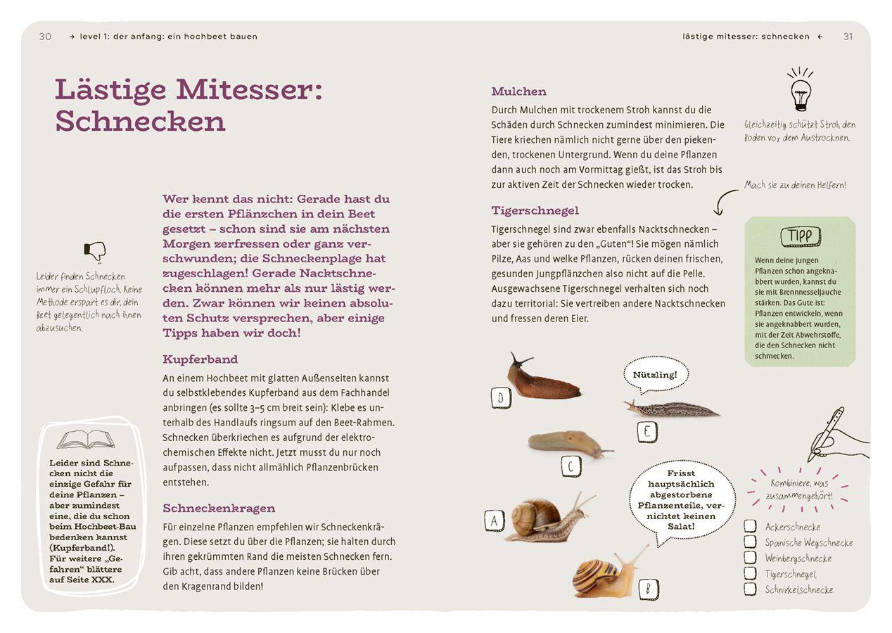 Beispielinhalt (Bild) Dein Projekt. Dein Guide. Gärtnern mit Hochbeet