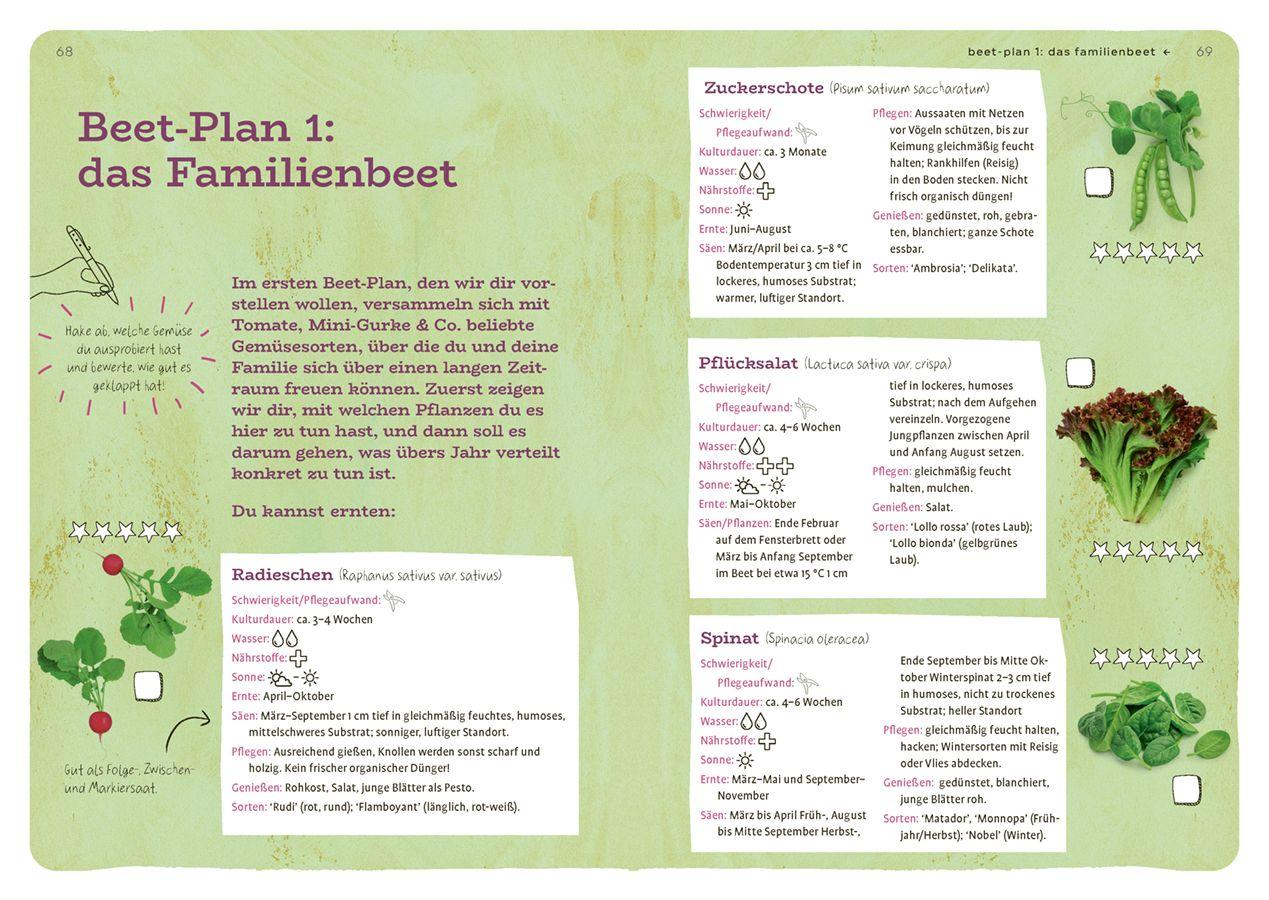 Beispielinhalt (Bild) Dein Projekt. Dein Guide. Gärtnern mit Hochbeet