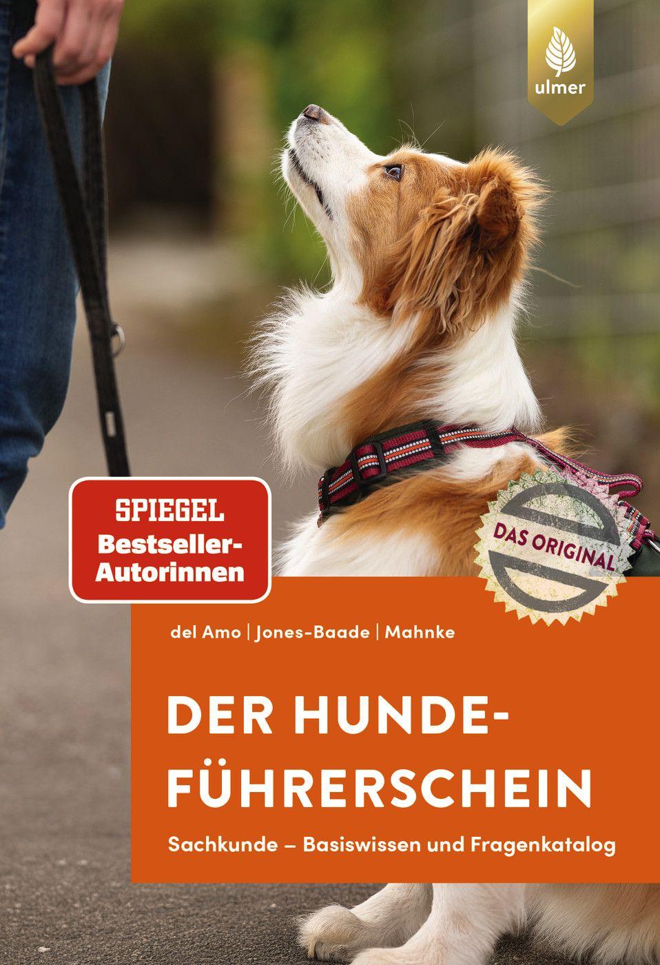 Vorderes Coverbild Der Hundeführerschein