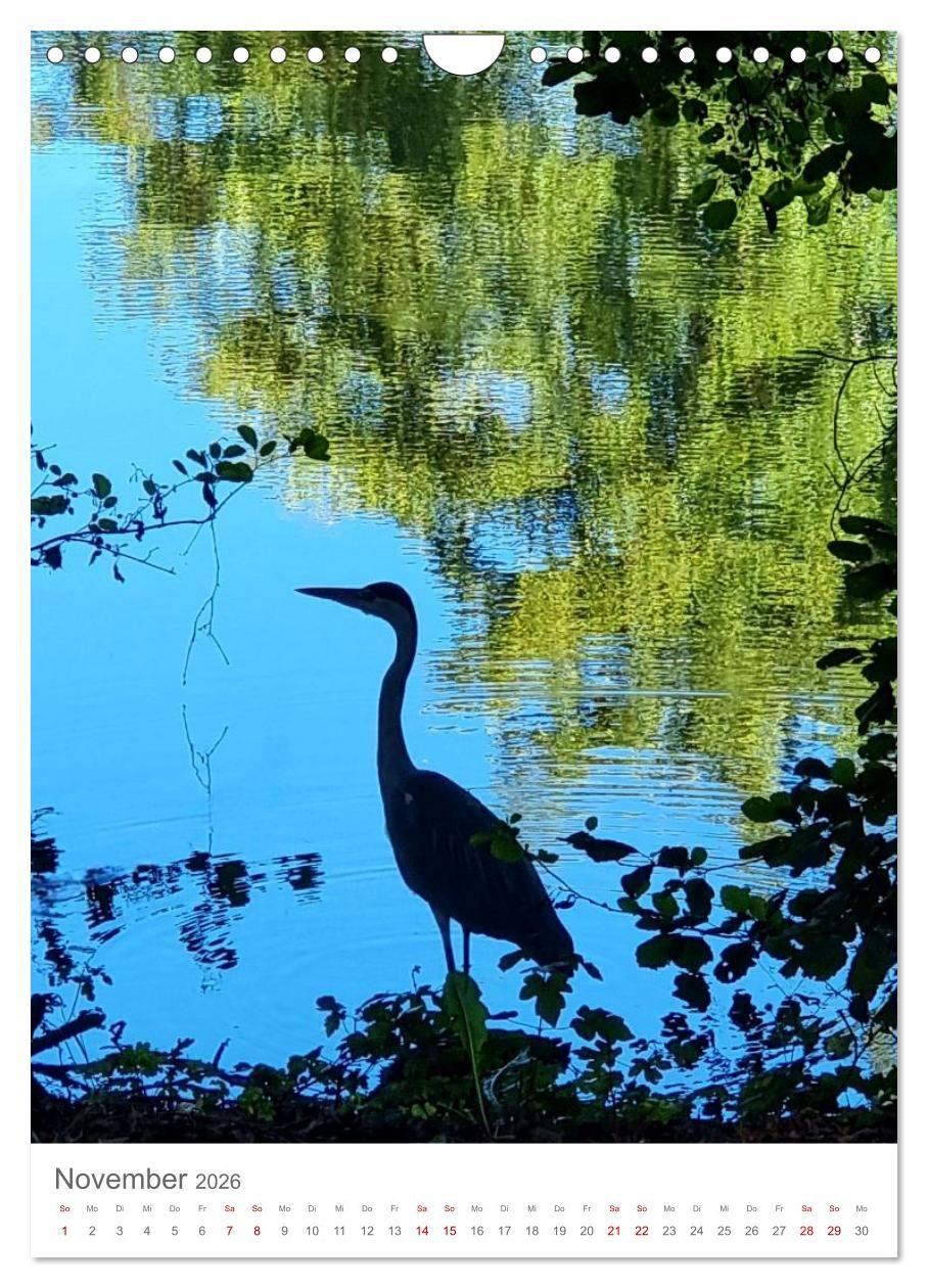 Beispielinhalt (Bild) Das Leuchten im Tag (Wandkalender 2026 DIN A4 hoch), CALVENDO Monatskalender